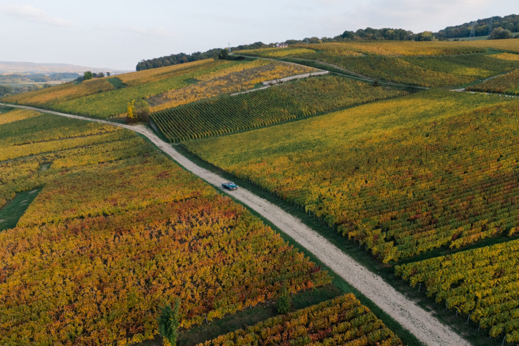 Proposal location in the vineyards
